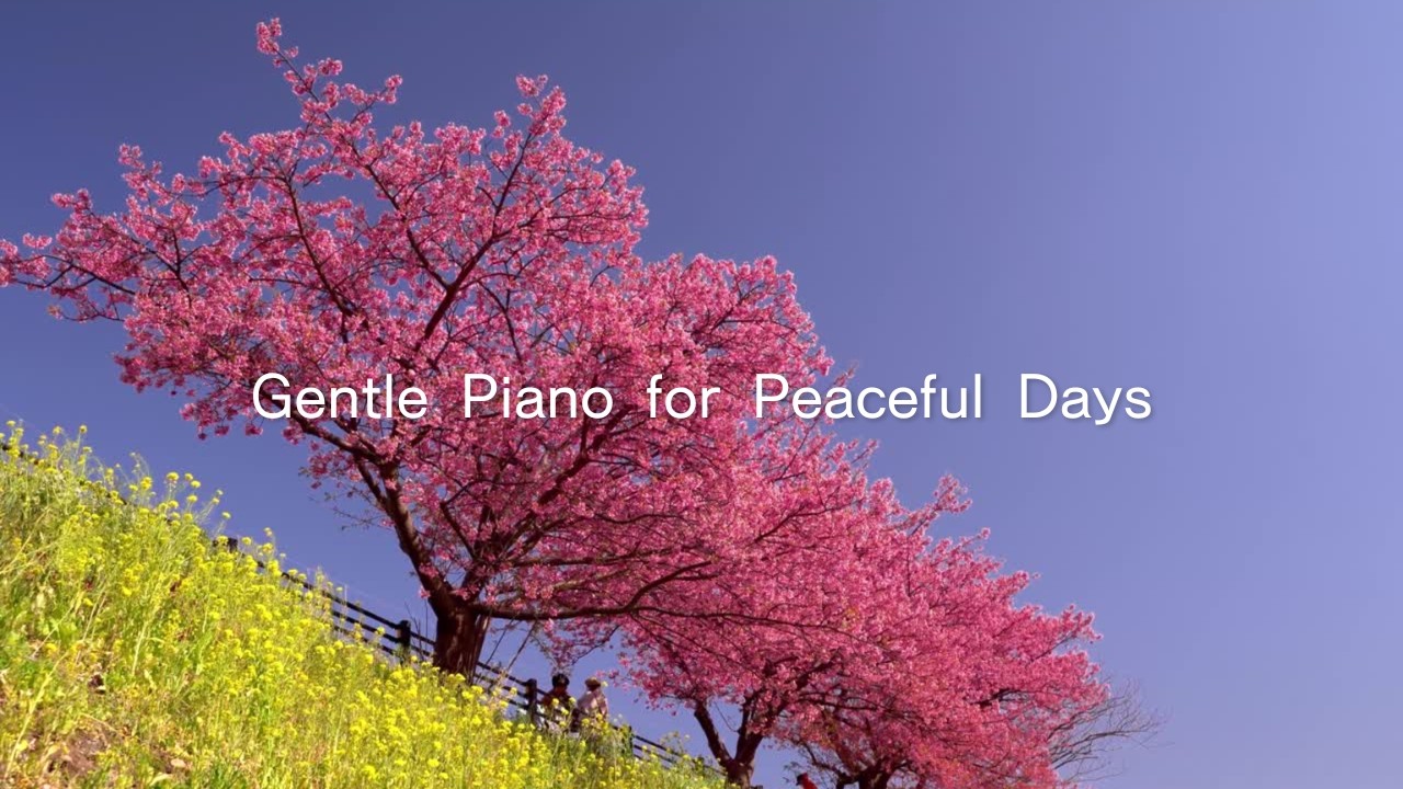 【Peaceful Piano】春の訪れに心が満たされるやさしいピアノ｜小さな幸せが咲く季節に｜作業用・読書用・リラックスBGM