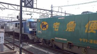 JR貨物 EF210-169号機（吹田）＋コキ24両　貨物列車62レ（旧5050レ） 2019.03.23