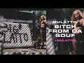 Mulatto Bitch From Da Souf Official Audio Prod By Bankroll Got It mp3