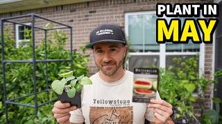 10 Awesome Crops You Should Plant In May Right Now!