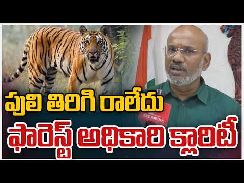 Rajahmundry Tiger Search Operation Updates | పులి తిరిగి రాలేదు ఫారెస్ట్‌ అధికారి క్లారిటీ | ZEE - ZEE24TELUGUNEWS