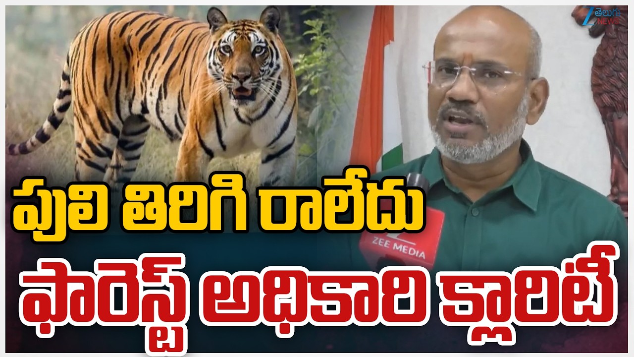 Rajahmundry Tiger Search Operation Updates | పులి తిరిగి రాలేదు ఫారెస్ట్‌ అధికారి క్లారిటీ | ZEE
