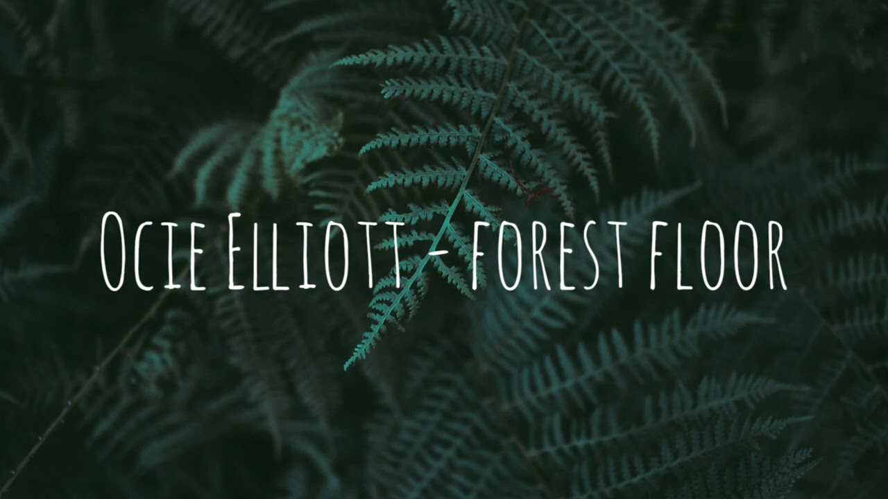 Ocie Elliott Forest Floor (Lyrics) YouTube