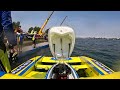 2026 Apollo Columbia Cup Heat 3B: U-11 FLAV·R·PAC