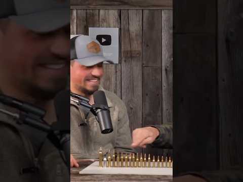 ALL The Varmint Cartridges Which Do You Choose 