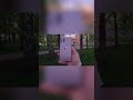 Экран и внешний вид iphone 11 pro max