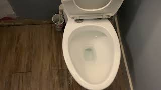 Pearl Dual Flush Toilet At Granite Bay Wednesday