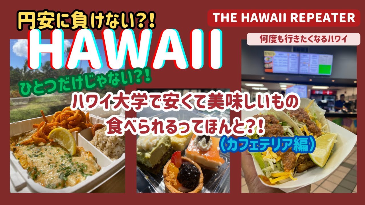 ＜2024 Spring Hawaii ep 15＞ハワイ大学で安くて美味しいもの食べられるってほんと？！ビジター駐車場情報も！
