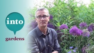 Know Your Weeds: Convolvulus (Bindweed)