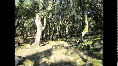 The Oroonies A Prologue to the Unborn