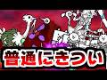 【にゃんこ大戦争】わかめ緑地キャンプ場 攻略！テバムラサキとオールドリーの組み合わせがこんなに凶悪だと思わなかった件【本垢実況Re#2474】