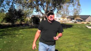 Aerating Your Lawn - Why, When and How
