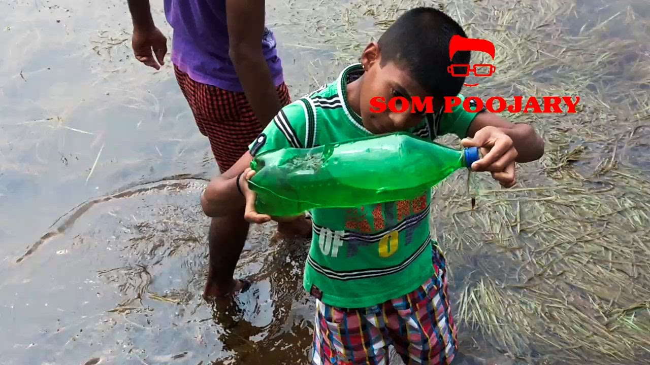 petco hours Bottle fishing in India