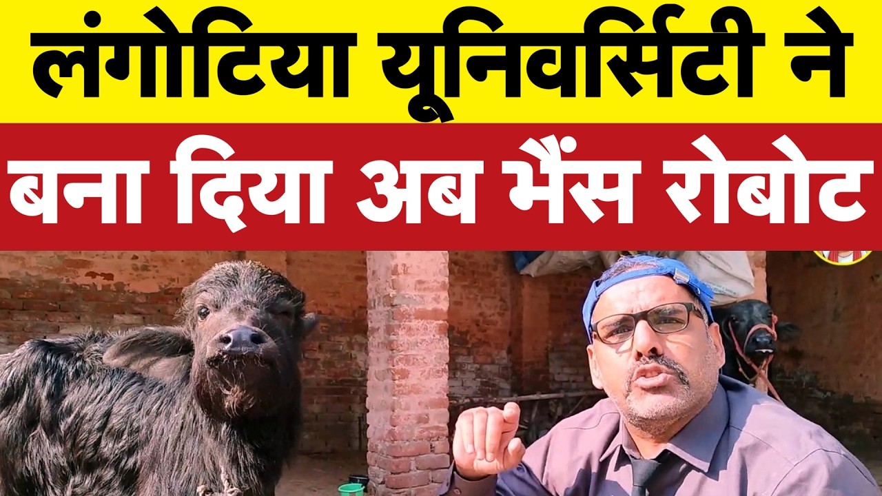 Langotia University ने बना दिया भैंस रोबोट I AI Summit I Bhagat Ram I Satire