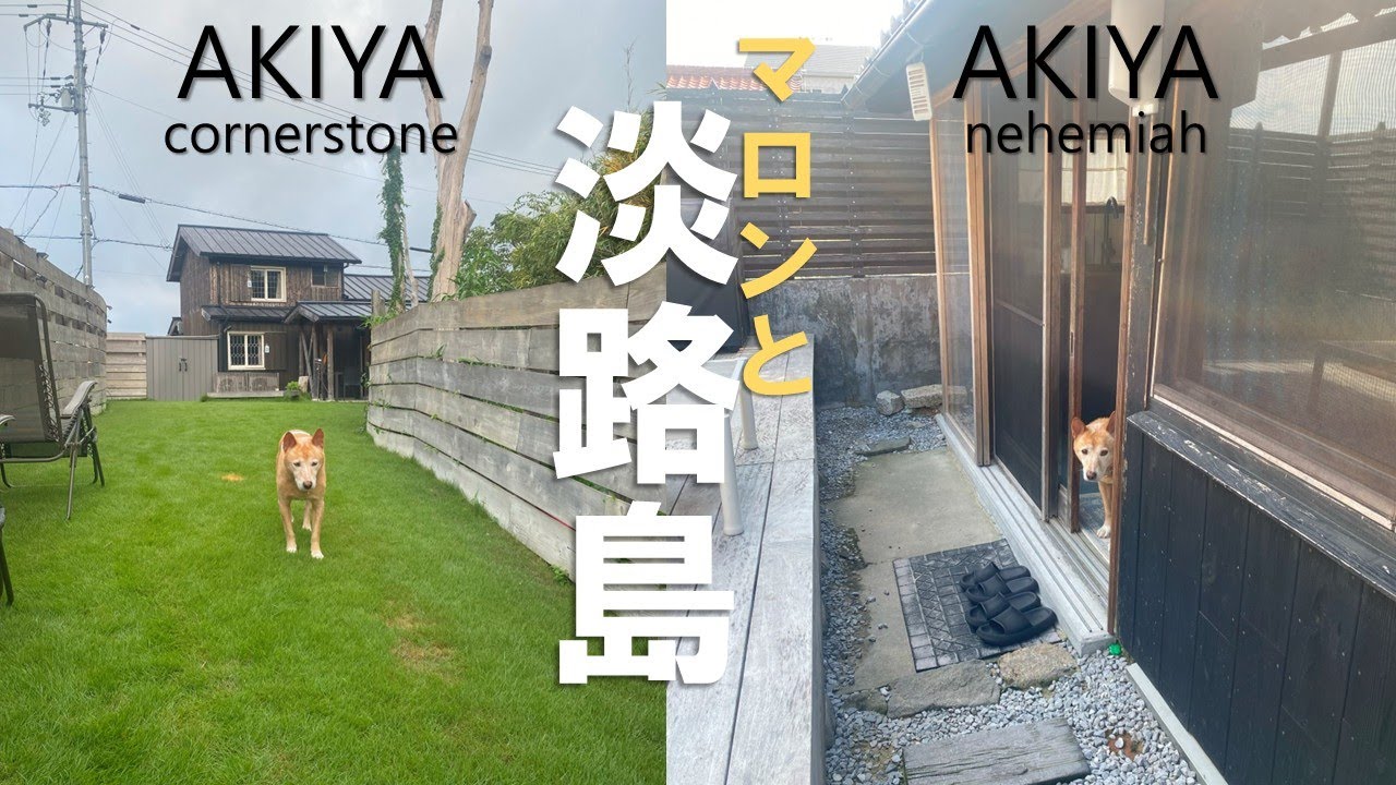 【淡路島旅行】ワンコと泊まれる宿に２泊。マロンとの大切な思い出になった