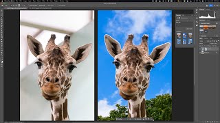 FIX Zoo Photos With Generative Fill in PHOTOSHOP! screenshot 2