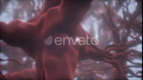 Journey Through a Neuron Cell Network Inside the Brain | Motion Graphics - Envato elements