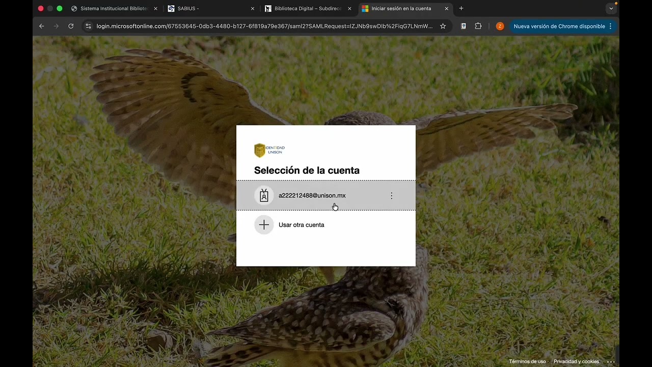 BUSCADORES ESPECIALIZADOS Y BIBLIOTECAS DIGITALES