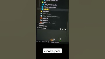 VScode-pets extension #vscode #vscodeextensions #coding