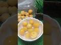 खुबानी खाने के जबरदस्त फायदे #khubanikefayde#apricot#khubani #khubanifruit #food #facts #shortsfeed