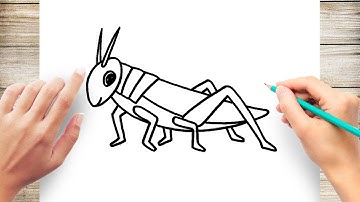 How to Draw Grasshopper Step by Step