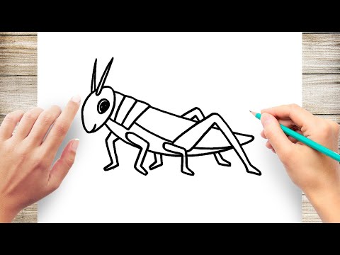How to Draw Grasshopper Step by Step