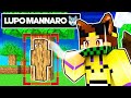 GIOCO A NASCONDINO da LUPO MANNARO HACK con i MIEI AMICI su MINECRAFT