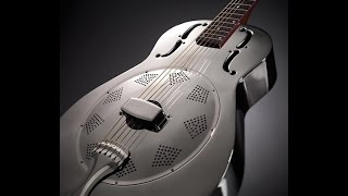 HARMONICA & RESONATOR GUITAR -DELTA BLUES-