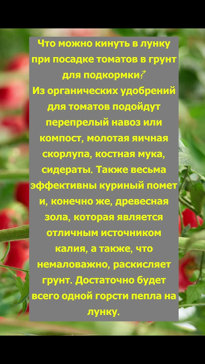 что можно кинуть в лунку,при посадке Томатов - YouTube
