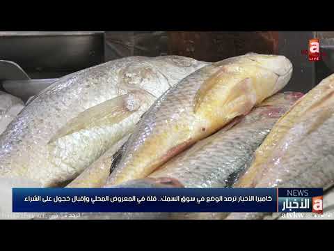 كاميرا الأخبار ترصد الوضع في سوق السمك قلة في المعروض المحلي وإقبال خجول على الشراء