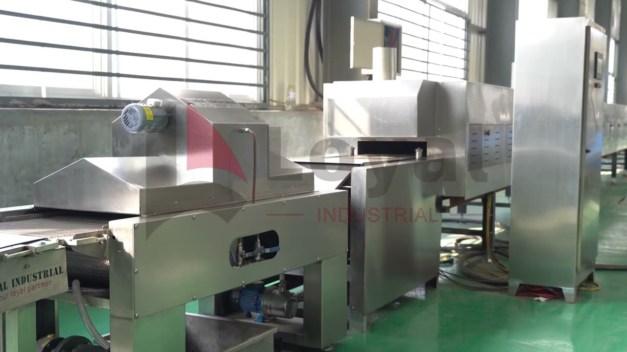 Watch a full biscuit production line in action — from raw dough to perfectly baked cookies!