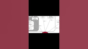 Omnichannel Customer Behavior: Key Drivers of Technology Acceptance and Use and Their... | RTCL.TV