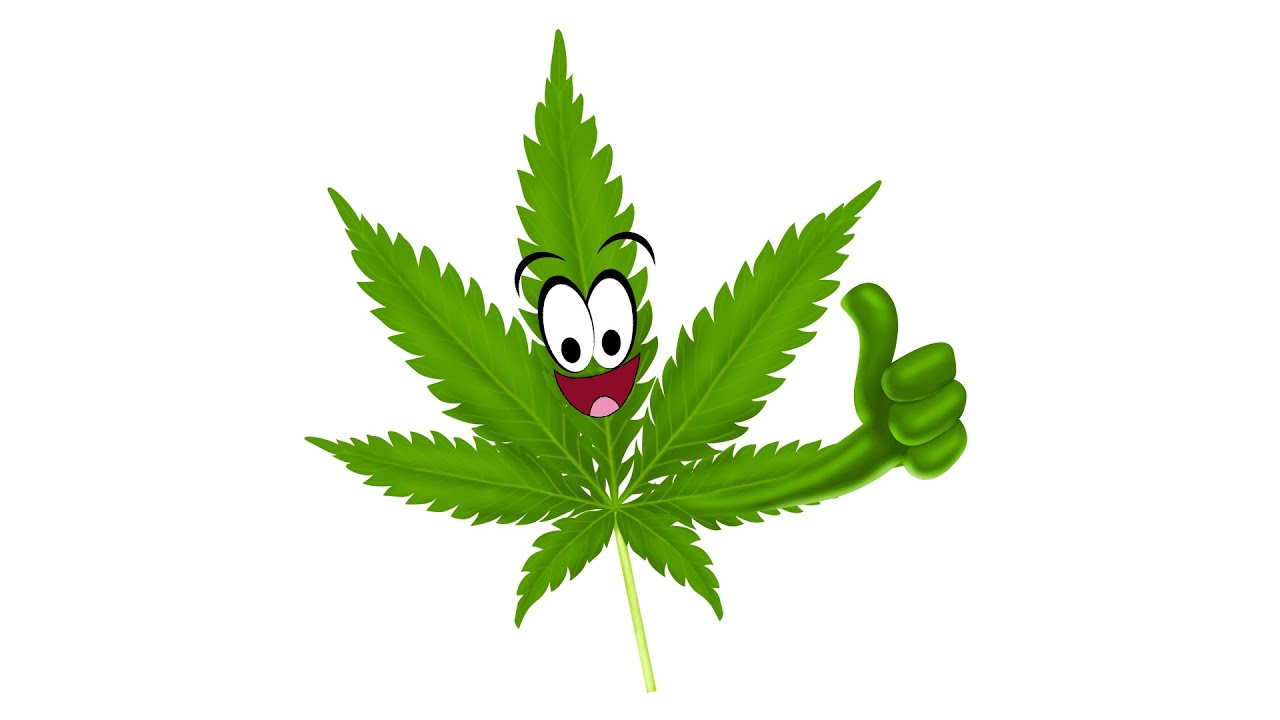 comedy, parody, satire, weed, cannabis, 420, marijuana, stoner, Simian Jimm...
