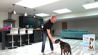 Quick tips & benefits to teaching your dog The Nose Touch