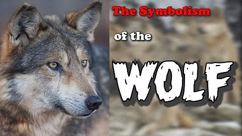 Unveiling the Mystic Symbolism of the Wolf