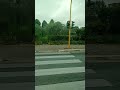 pulmino linea 364 giallo navetta Roma via della Bufalotta che riprese che vuoto che non quando bella