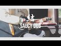 Saucy Dog / 結 (Cover) 弾いてみた