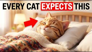 If Your Cat Sleeps In Your Bed, They Are Hiding This Secret From You