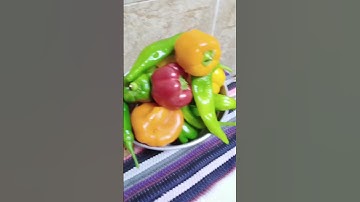 قرآن كريم/ #تيك_توك #explore #اكسبلور #nature #دعاء #ترند #quran #يصلك #garden