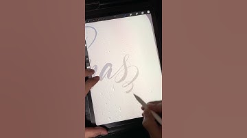Procreate 3D Model Painting｜Fast Forward Video #calligraphy #christmas