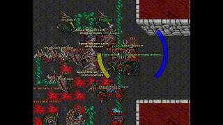 Tibia 570 RP Solo Wardragons Nimmersatt's 7.5kk raw peak 1.2kk profit