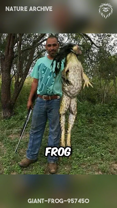 The LARGEST Amphibians on Earth! 🐸