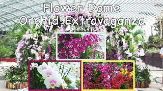Flower Dome @ Gardens by the Bay Singapore Pt 1 - Orchid Extravaganza (Aug 2025 in 4k TV)