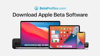 Apple Cracks Down on Websites Sharing iOS 16 Developer Beta  [BetaProfiles.com & IPSW.dev] screenshot 4