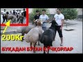 4Та Энг КАТТА ҚЎЧҚОР ! ЎЗБЕКИСТОН РЕКОРДИ