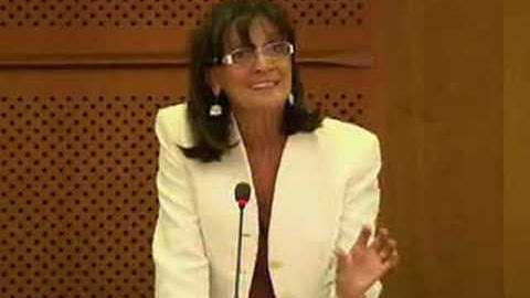 Patrizia Toia on Electronic communications