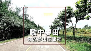 台東景點達仁鄉歌中夢田你的夢田在哪裡- 美景系列