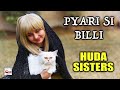 Pyari si billi  huda sisters  2021new heart touching beautiful kids kalam  hitech islamic naats