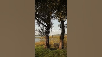 فَاصْبِرْ صَبْرًا جَمِيلًا💙||اجمل التلاوات النادره🥹|| لقارئ حمزه بوديب
