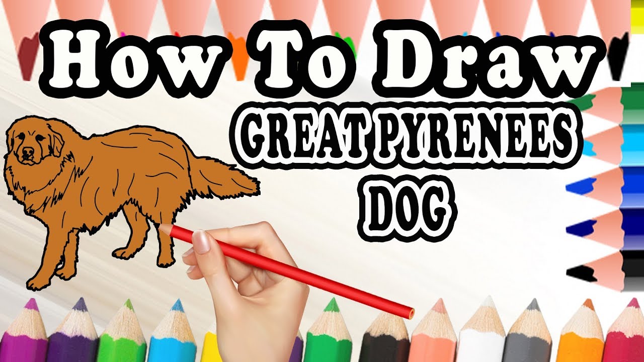 How To Draw A Great Pyrenees Dog | Drawing Step By Step Dog | Draw Easy For Kids